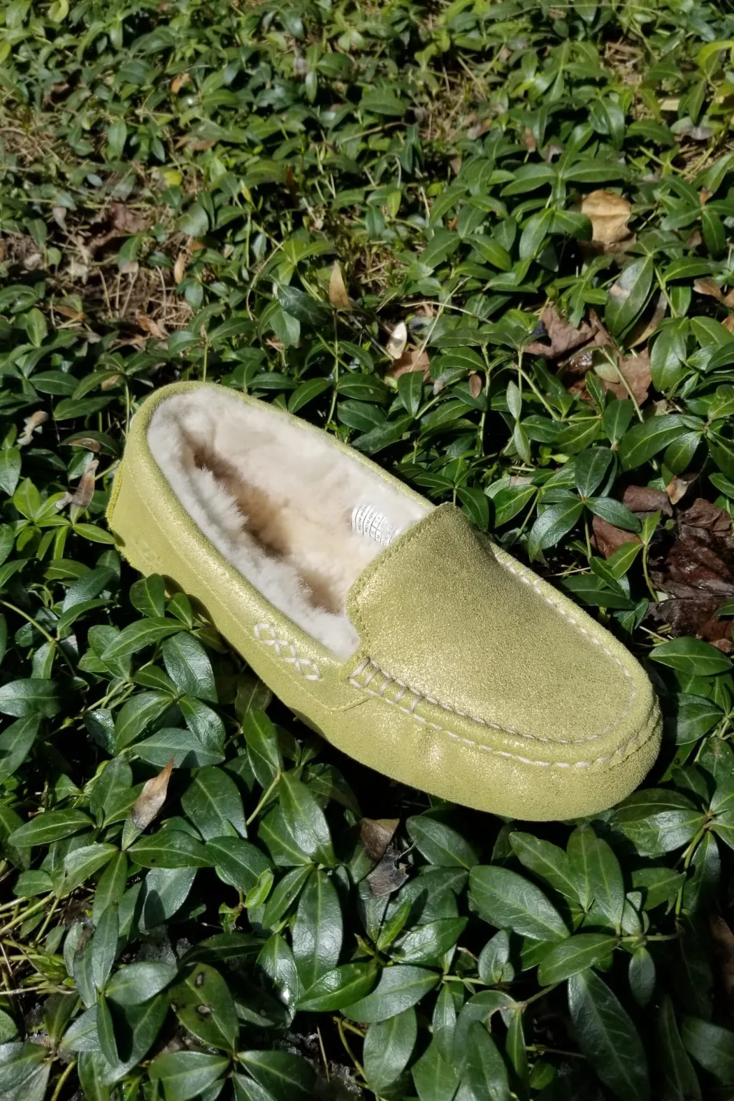 Ansley Slipper